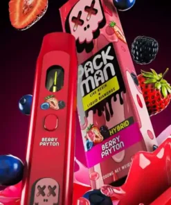 Packman Berry Payton Einweg Vape - 12000 Vape Online Kaufen